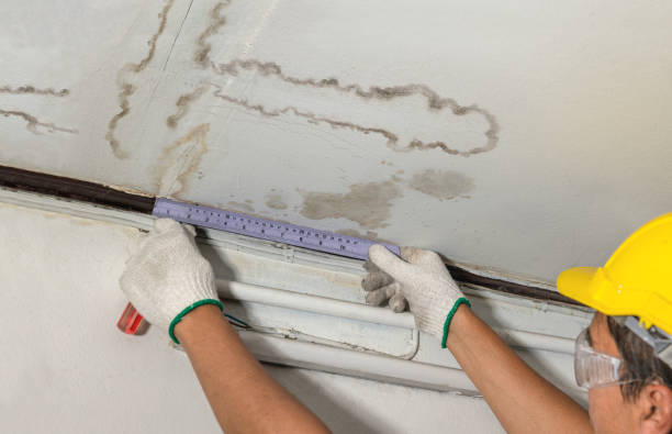 Reliable Water Damage contractor in Ardmore, OK by Water Damage Irwin